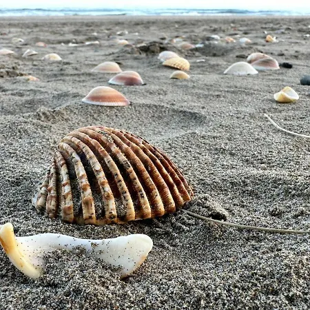 Apartamento Indecent